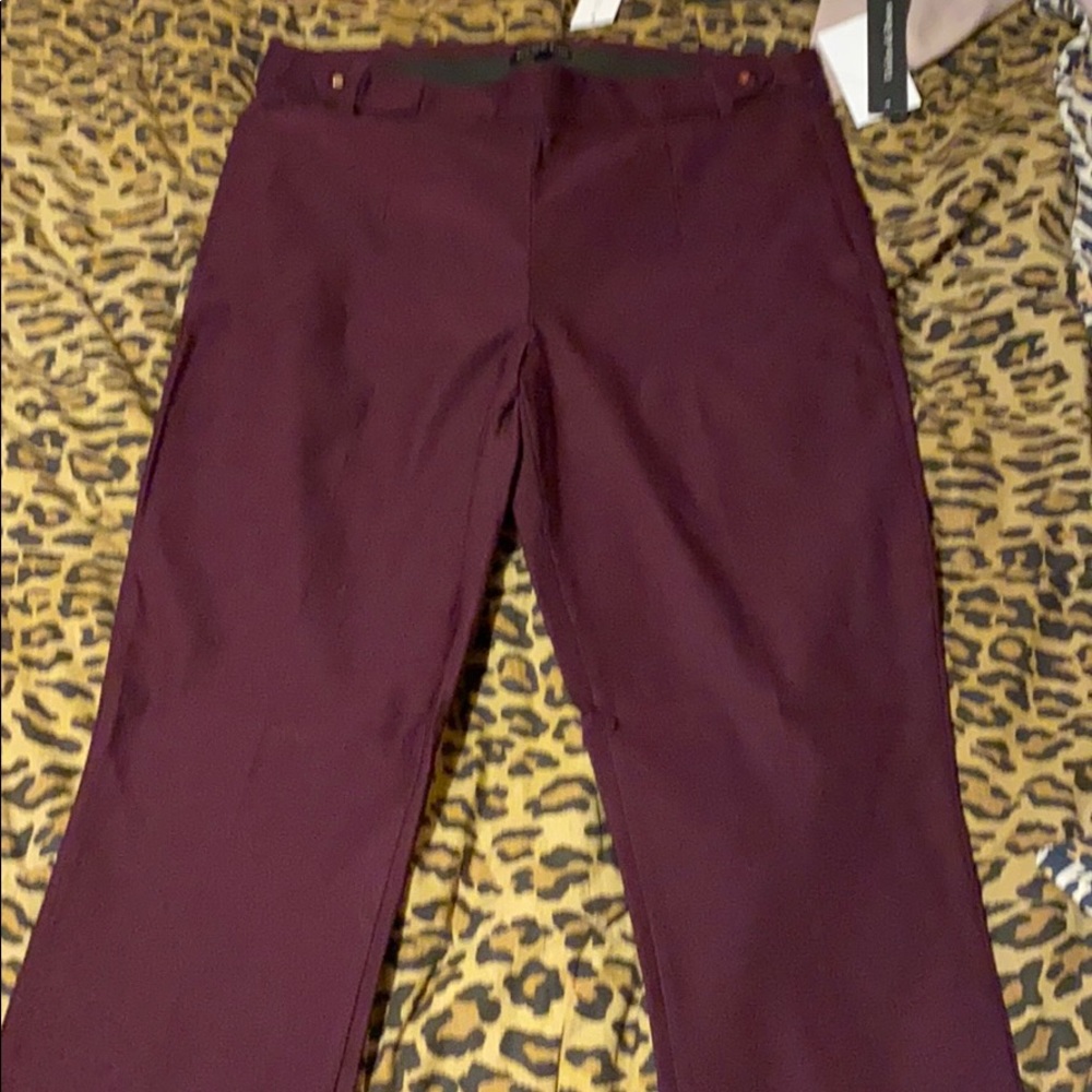Dress pants.